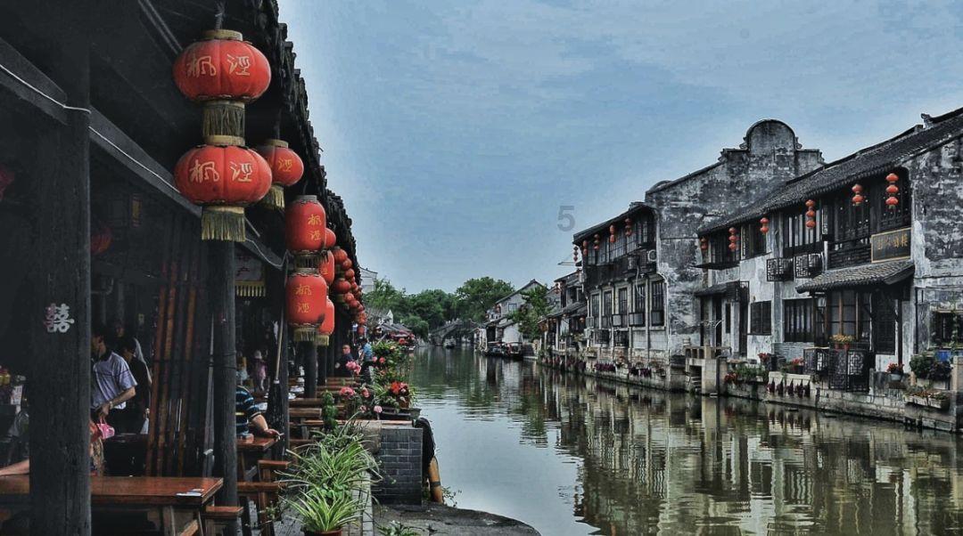 动物帮帮忙保卫家园